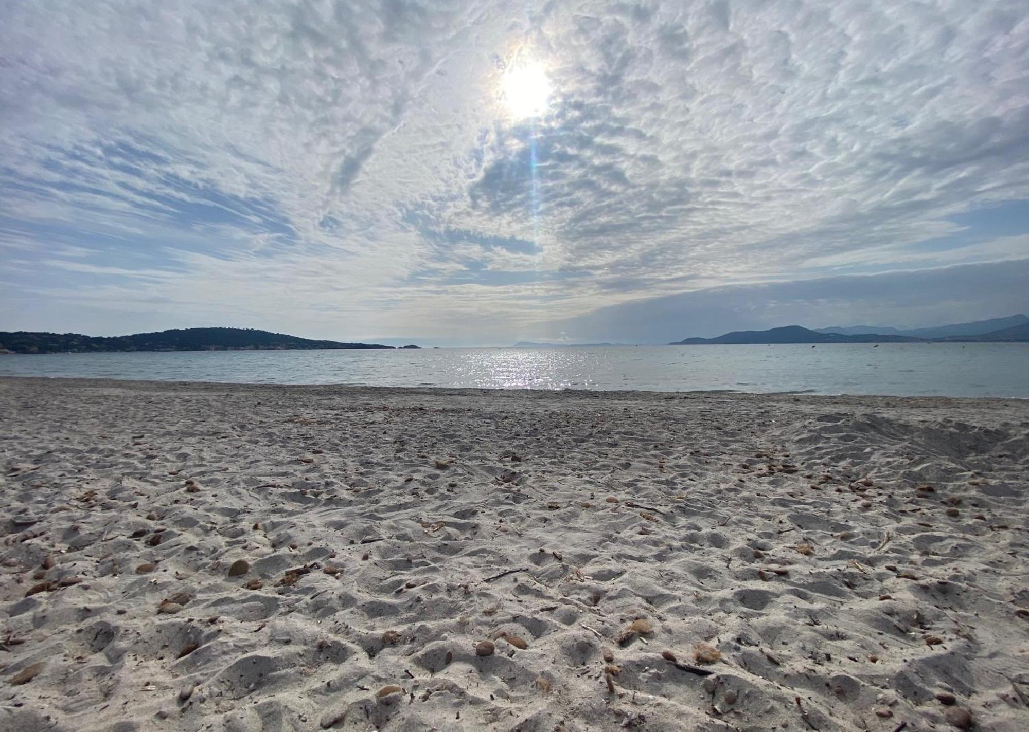 Appartement Les Cigales Rez De Jardin A 10Mn Des Plus Belles Plages Hyères Esterno foto