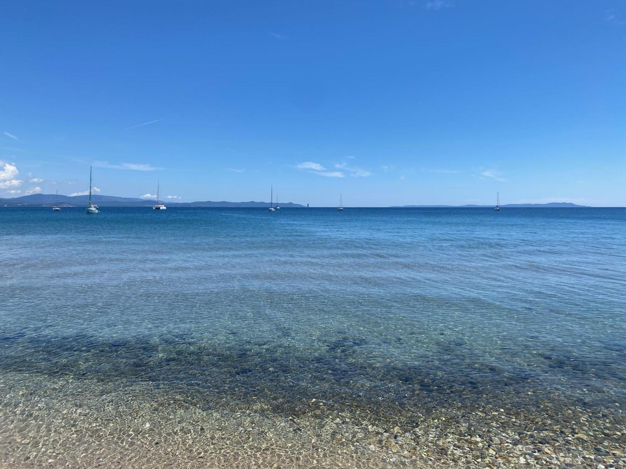 Appartement Les Cigales Rez De Jardin A 10Mn Des Plus Belles Plages Hyères Esterno foto